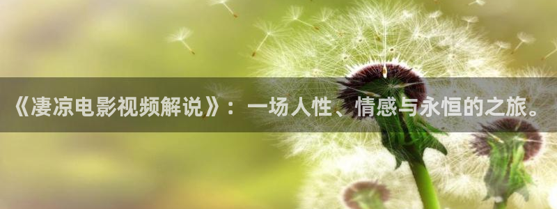 秋霞一级色电影