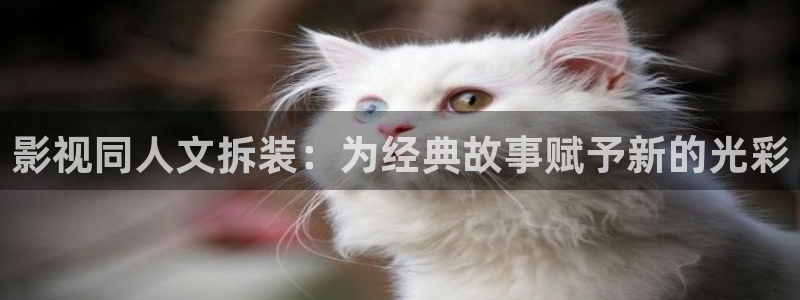 最新秋霞电影网