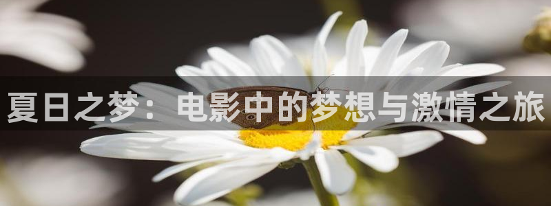 神马影视秋霞网