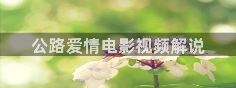 秋霞电影午