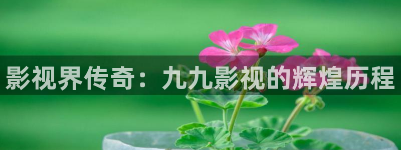 秋霞午夜神马影院