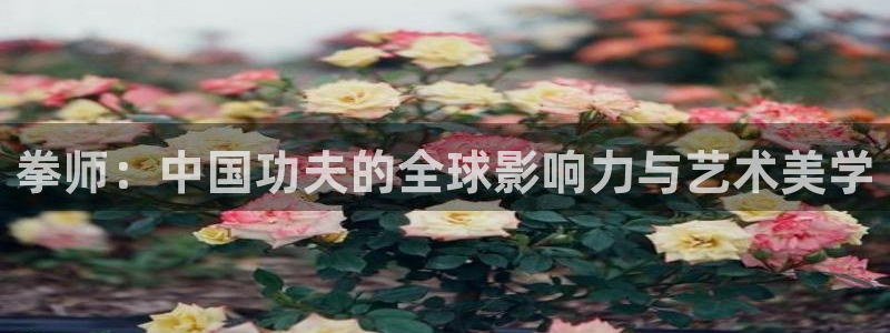 秋霞电影伦理限制片