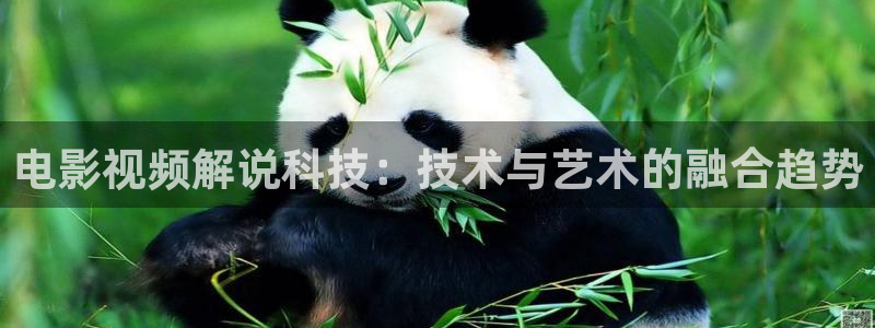 午夜秋霞网