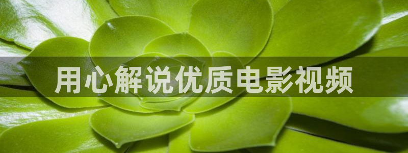 2019秋霞电影在线观看