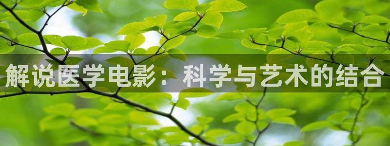 秋霞在线观看撸丝片